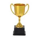 Trofeo Nynor