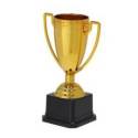 Trofeo Plinar