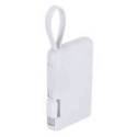 Power Bank Brandin