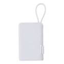 Power Bank Brandin