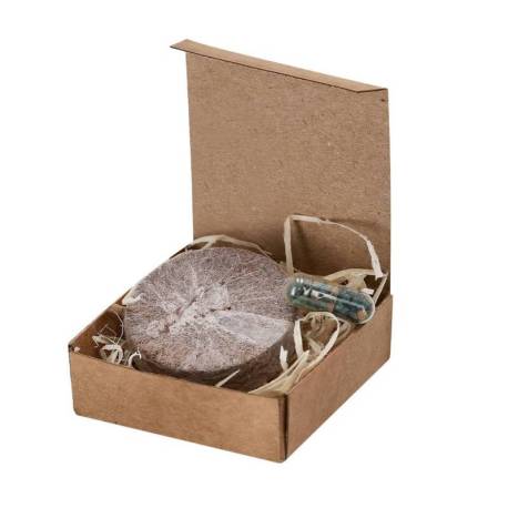 Pack Plantable Aquael